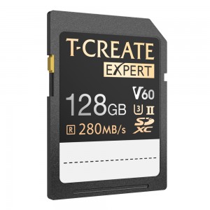 EXPERT SDXC UHS-II U3 V60 Memory Card 256GB